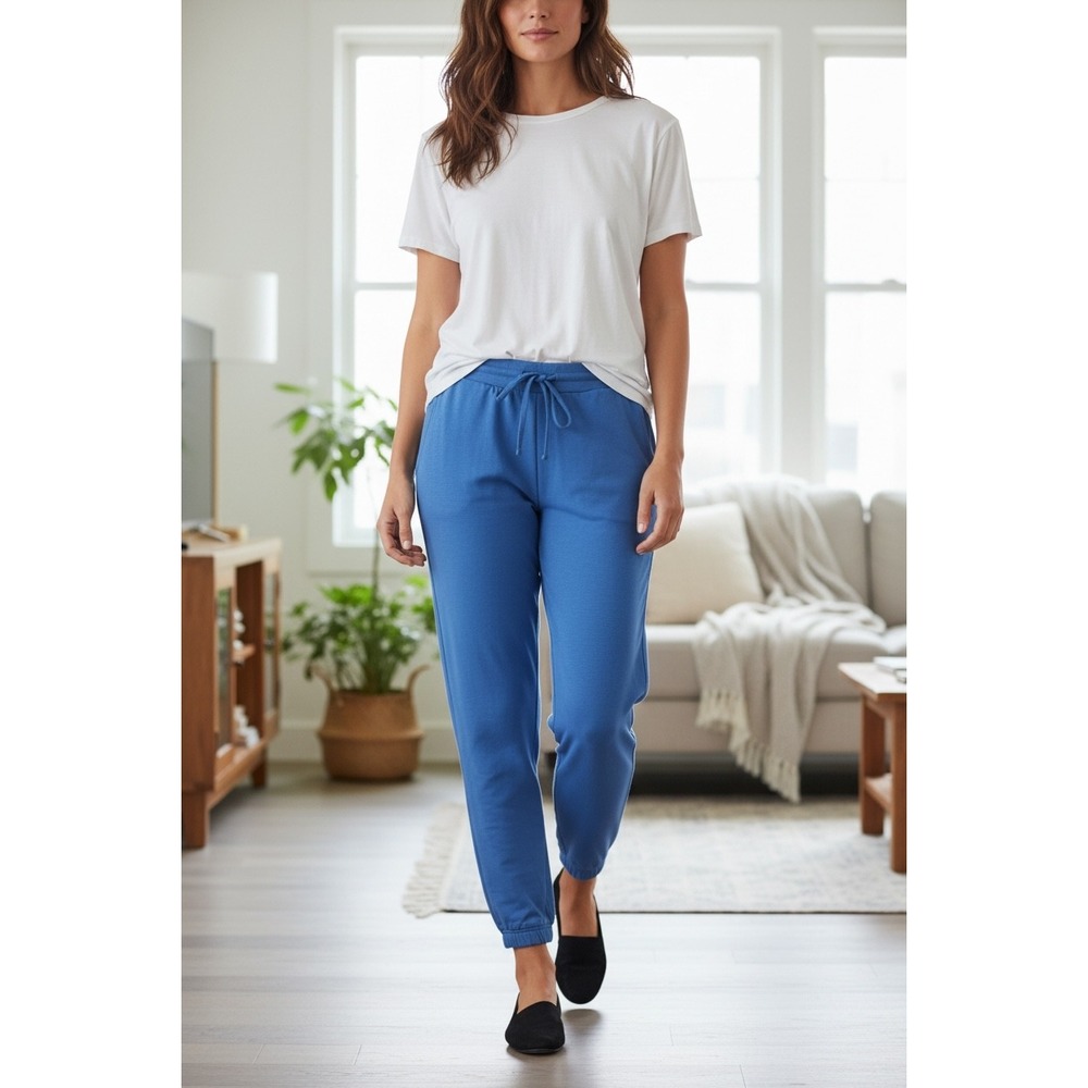 Eileen Fisher Joggers XXS Blue‎ Cozy Brushed Terry Hug Minimalist Retail $178